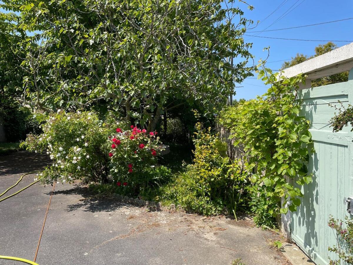 La Maison De Marie A 5 Minutes A Pied De La Plage Avec Parking Privee Et Gratuit Lion-sur-Mer Εξωτερικό φωτογραφία